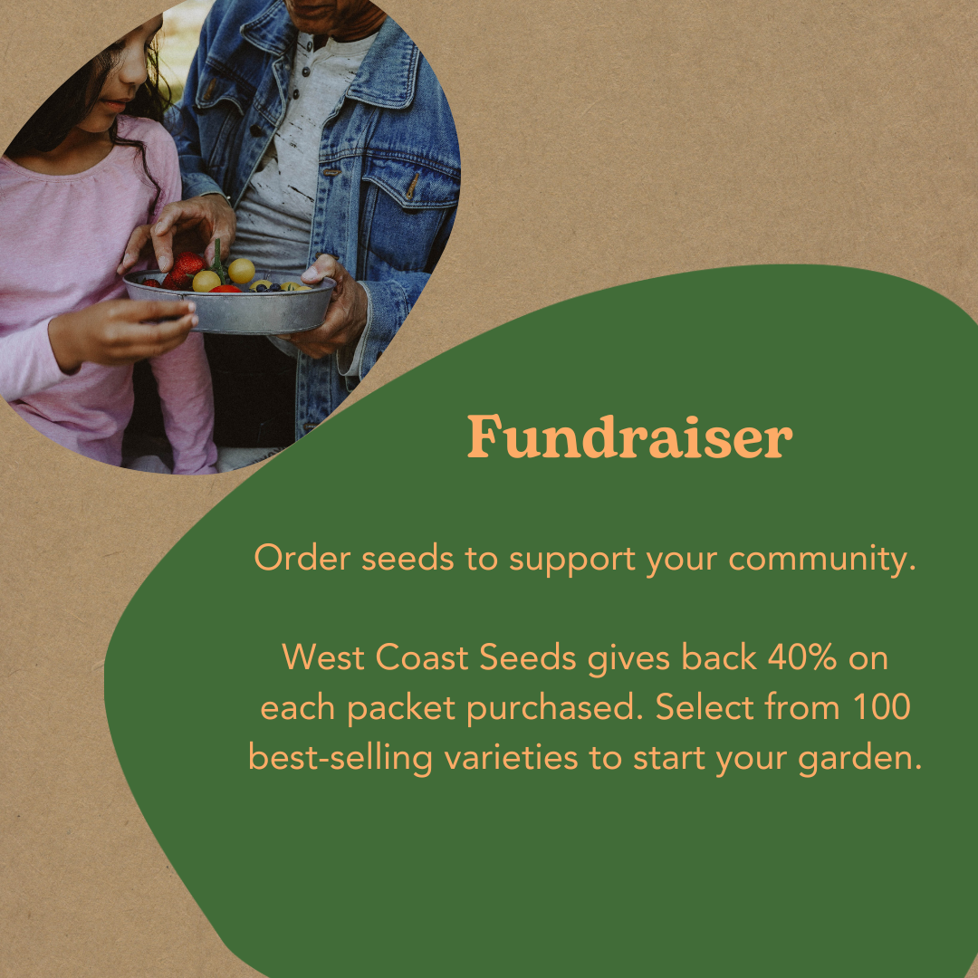 Seed Fundraiser